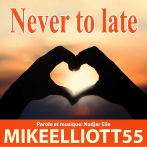 https://music.apple.com/us/album/never-too-late-single/1539375112